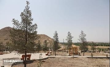 اینجا کارگاهه؛ پروژه بام ری 52