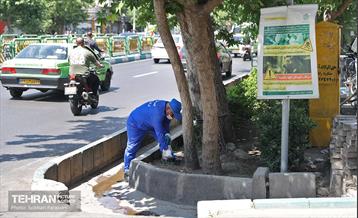 مبارزه با جانوران موذی 7