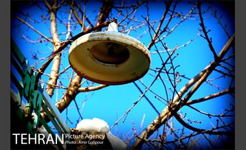 روستای کوهستانی سنگان‎ 9