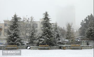 بارش برف زمستانی در منطقه ۲ 31