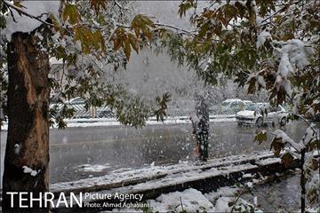 بارش اولین برف پاییزی در تهران 35