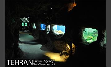 موزه حیات وحش هفت چنار 53