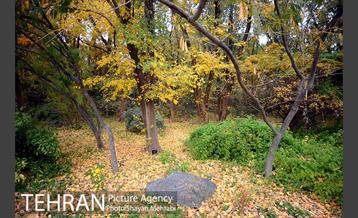 باغ گیاه‌شناسی ملی ایران 7