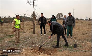 کاشت 2000 نهال مثمر در بوستان جنگلی چیتگر 4