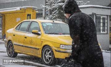 بارش برف زمستانی در شمیران  3