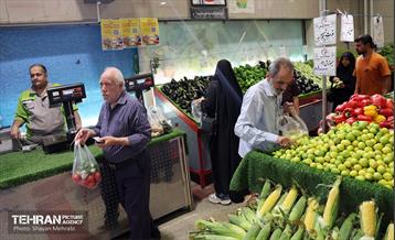 تور رسانه‌ای بازدید از بازارهای میوه و تره‌بار 26