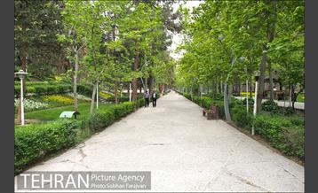 بوستان ساعی 3