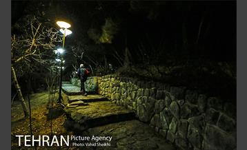 بوستان جمشیدیه 14