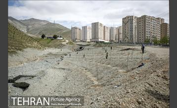 بازدید از پروژه جنگل کاری 1250 هکتاری 29