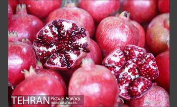 خرید شب یلدا در بازار میوه و تر بار صادقیه 14