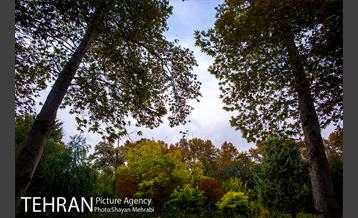 پاییز پارک شهر 12