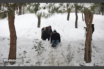 روز برفی تهران - 2 2