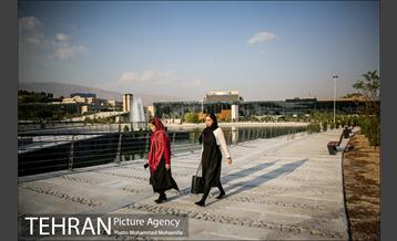 شهرنگار؛ باغ هنر 8