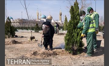 آیین کاشت "درخت ایثار" 34