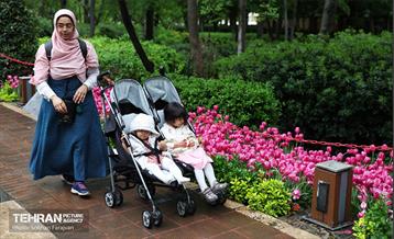 لاله‌ها میهمان باغ ایرانی 6