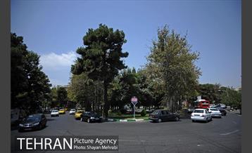 میدان هلال احمر 20