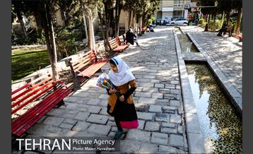 پارک دانشجو 3