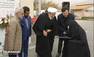 پنجمین جشنواره خرمالوی کن 15