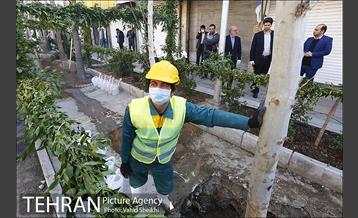 مراسم کاشت درخت در خیابان ولیعصر  11