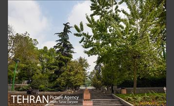 بوستان نیاوران 13