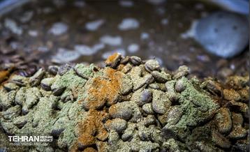 دربند در ایام نوروز 44