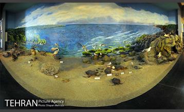 موزه حیات وحش پردیسان 45