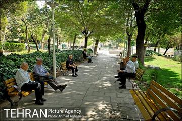 یوسف آباد، بی باغ و بی آسیاب 22