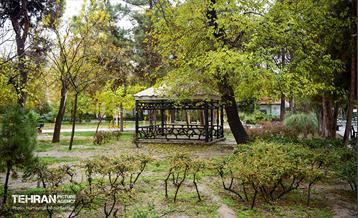 یک روز پاییزی در منطقه ۱۴