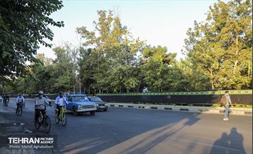 پویش سه شنبه های بدون خودرو در منطقه 8