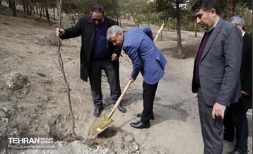 جشن درختکاری در منطقه ۵ 3