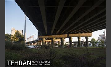 میدان شقایق‎ 21