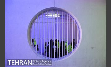 همایش شیرخوارگان حسینی در استادیوم آزادی-1 17