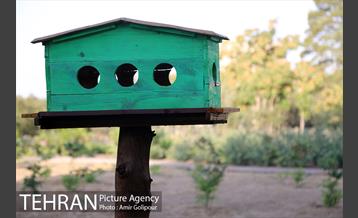 باغ راز هستی 21