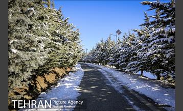 طبیعت برفی تلو 2