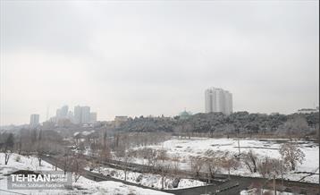 روز برفی تهران - 1 28