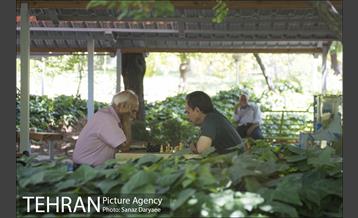 بوستان شفق‎ 29