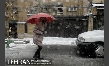 بارش نخستین برف پاییزی تهران 37
