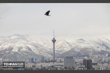 تهران 21