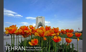رویش گل های لاله در میدان آزادی 5