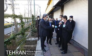 مراسم کاشت درخت در خیابان ولیعصر  14