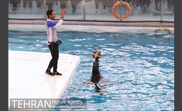 مراسم اختتامیه جشنواره یاد یار مهربان 16