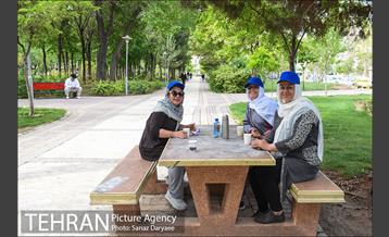 بوستان پلیس 29