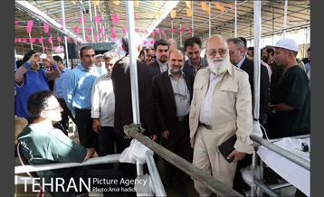 بازدید رییس شورای اسلامی شهر تهران و مدیر عامل سازمان میادین شهرداری تهران از مراکز عرضه بهداشتی دام 16