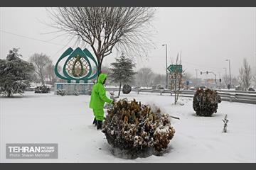 بازدید اصحاب رسانه از خدمات برف‌روبی منطقه 5 شهرداری تهران 24