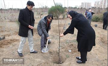 کاشت نهال یادمان تشکل ها در بوستان سمن ها 21