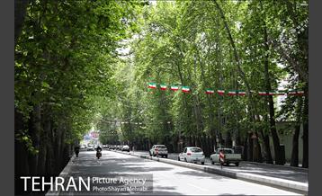 ولیعصر(عج)؛ خیابانی به درازای خاورمیانه 7