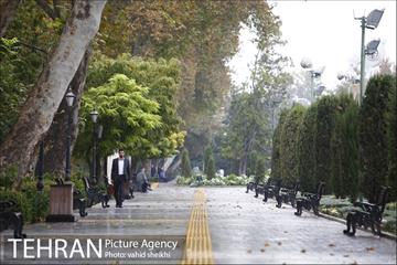 بارش نخستین باران پاییزی در تهران 4