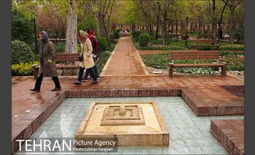 روز طبیعت بارانی در باغ ایرانی 2