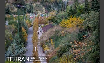 پاییز زیبای پایتخت- 3