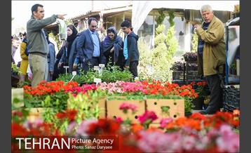 بازار گل شهید محلاتی در آستانه نوروز 11